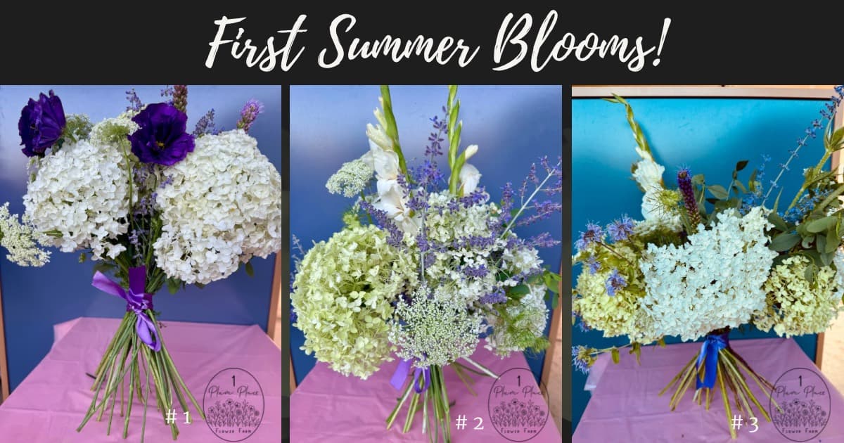 First summer bloom bouquets from 1 Plum Place Flower Farm.